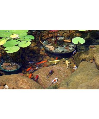 Aquatic Foods Inc. Koi & Pond Fish Krill Flakes. Arctic Krill Flakes which Contain Natural Carotenoids & Astaxanthin That Will Enhance The Vibrant Colors of Fish...WL 2-lbs Poly Bag 2 Pound (Pack of 1) - Buy Online on GoSupps.com