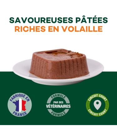 EQUILIBRE & INSTINCT - Adult Dog - Poultry Wet Food Pat - Optimal Digestive Transit - Complete Recipe Formulated with Veterinarians - 9x300g - Made in France - Buy Online on GoSupps.com