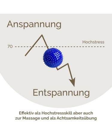 2x DBT Skills Hedgehog Ball - Magnetic High Stress Acupressure Ball for Stress Relief Massage & Enhanced Mobility - Blue Matt 47mm - Buy Online on GoSupps.com