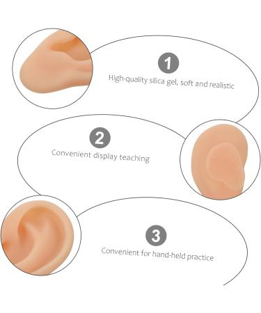 Silicone Ear Model - Simulation Silica Gel Beige Eft Ear Teaching Tool - Buy Online on GoSupps.com