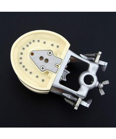 Lmeili Dental Typodont Joint Model - Removable Teeth Anatomy Teaching Tool for Dental Study - Buy Online on GoSupps.com