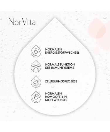 Norvita Vitamin B12 Spray 500 g - Vegan High-Dose B12 Complex | Natural Lemon & Menthol - 30 ml (150 Daily Doses) - Buy Online on GoSupps.com