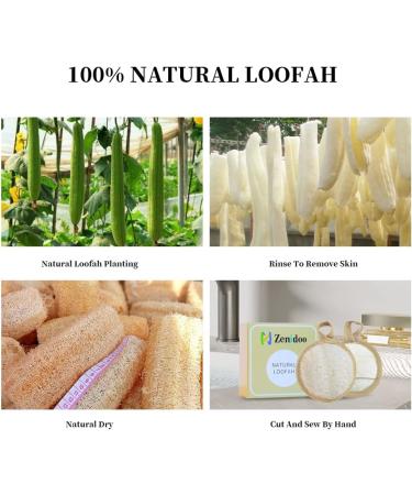 Zenidoo Exfoliating Loofah Sponge Face Pads - 4 Pack Natural Facial Scrub Pad for Men and Women - Large Size Brown - Buy Online on GoSupps.com