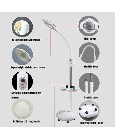 LED Magnifying Floor Stand Lamp 18X Cold Light Beauty Lamp with Base LED Lighted Standing Magnifier Work Light for Lash Estheticians Facials - Buy Online on GoSupps.com