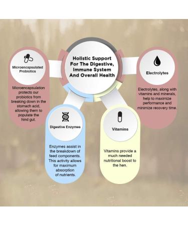 Animal Health Solutions Hen Boost Probiotics - Enhance Immunity & Hydration in Full-Grown Chickens (8 oz) - Buy Online on GoSupps.com