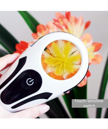 Magnifying Glass Handheld 5X Magnification with 3 LED Lights Portable HD Large Lens for The Elderly and Students Reading to Observe Tiny Creatures Good Times - Buy Online on GoSupps.com