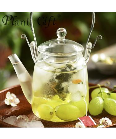 100% Pure Natural Herbal Tea Grape Jasmine Oolong Tea Bag 150g/5.29oz (3g*50bags) Ar me de raisin th frais th floral th aux fruits rafra chissant - Buy Online on GoSupps.com