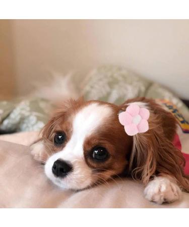 ZARSIO Small Dog Hair Clips Cute Dog Hair Bows Fur Ball Flower Puppies Hair Barrettes Alligator Hair Clips Cat Puppy Party Birthday Grooming Hair Accessories - Buy Online on GoSupps.com