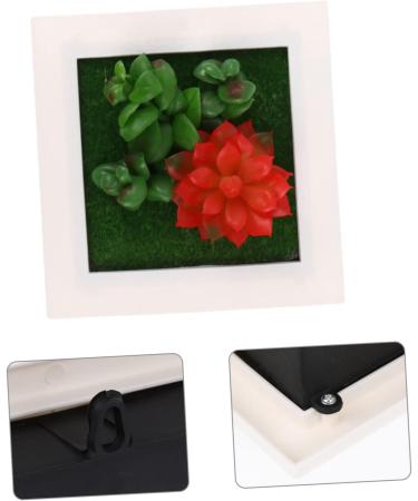 HOMSFOU 1pc Plant Photo Frame Plants Picture Frames Home Decor Succulent Plant Housewarming Gift Artificial Succulent Wall Art Plant Photo Frame Wall Household Plastic Red 15.5X15.5CM - Buy Online on GoSupps.com