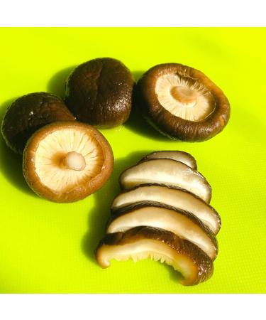 Dried Shiitake Mushrooms Dried Shiitake Mushrooms for Cooking Dried Organic Whole Shiitake Mushrooms Shiitake Xiang gu (1000 G) - Buy Online on GoSupps.com