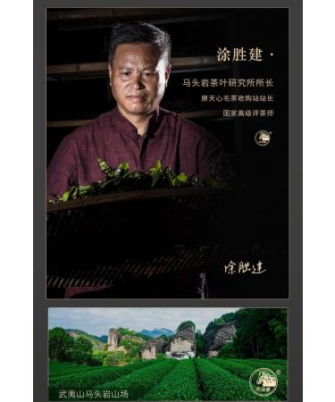 Wuyi rock tea 248g*2 - Buy Online on GoSupps.com