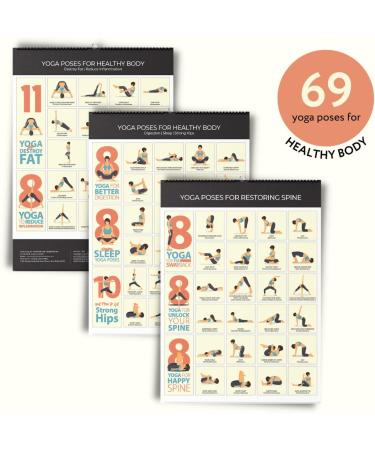 Yoga Poster Series - Top 362 Best Yoga Poses Calendar - Relieve Stress  Increase Flexibility  Gain Strength | Yoga Postures & Exercises | 14 Pages Spiral Yoga Calendar  Size: 15"x20" - Buy Online on GoSupps.com