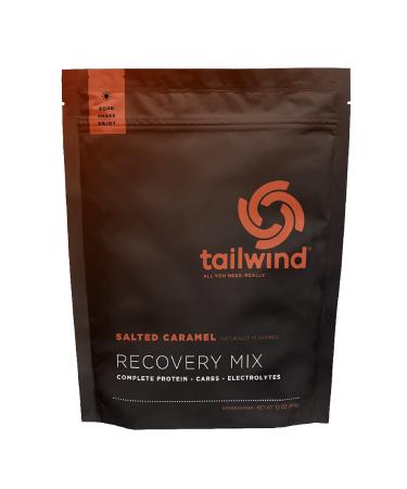 Tailwind Nutrition Rebuild Recovery Drink Mix, Complete Protein with Electrolytes and Carbohydrates, Free of Gluten, Soy, and Dairy, Vegan, 15 Servings, Salted Caramel Salted Caramel 1.94 Pound (Pack of 1)