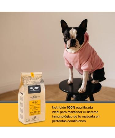 Avantis Pure Brave Mini Adult Dog Food for Small Breeds - 2 kg - Crunchy and easy to chew kibble - Chicken and Rice - Buy Online on GoSupps.com