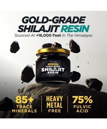 Gya Labs Himalayan Shilajit Resin (1.76 oz) & Moringa Capsules (300 Count) - Buy Online on GoSupps.com