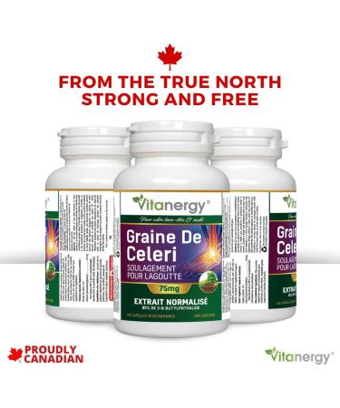 Vitanergy Celery Seed Value Pack Gout Relief Antioxidant Support 75mg with 15:1 Extract Ratio 150 Vegan Capsules 75-Day Supply Made in Canada - Buy Online on GoSupps.com