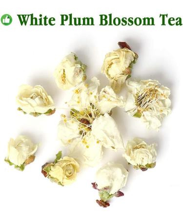 White Plum Blossom Tea ( Th blanc de prune Flos Mume Albus ) Dried Flower Tea Plum Green Tea Loose Organic Health Tea Herbal Green Plum Bossom Tea Freckle 35g/1.23oz - Buy Online on GoSupps.com