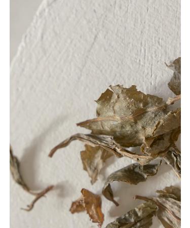 Sioris Day by Day Cleansing Gel - Korean Skin Care | Gentle Cleanser for Daily Use - Buy Online on GoSupps.com