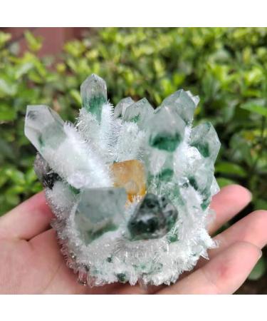 Natural Crystal Rough 1pc Natural Green Phantom Quartz Crystal Cluster Yellow Citrine Stone Ornaments 300G-900G for (Color : 1pc740g-800g Size : 1PC) 1PC 1pc740g-800g - Buy Online on GoSupps.com