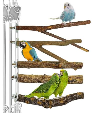 Gobesty Bird Perch Stand Bird Cage Accessories 5 PCS Bird Parrot Perches Natural Wood Parrot Perch Bird Cage Branch for Parakeets Cockatiels Conures Macaws Finches Love Birds - Buy Online on GoSupps.com
