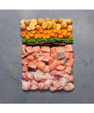 Irish Pure Premium Wet Dog Food - Atlantic Salmon | Cereal-Free | 6x390g | Superfood Kelp | Vitamins | Sensitive Formula | All Breeds - Buy Online on GoSupps.com
