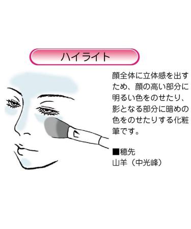 Buy Akashiya B6-BS Basic Type Makeup Brush for Flawless Highlighting - International Shipping Available - Buy Online on GoSupps.com