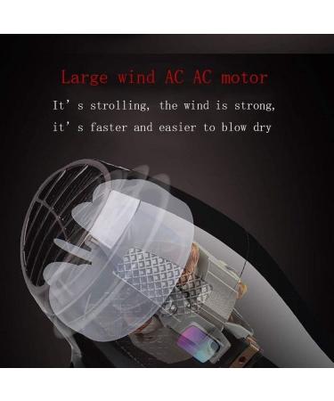 ADITAM Hair Dryers with 2000W Lightweight Professional High Power Negative Ions Blow Dryers Suit for Families and Salons Low Noise and Large Air Volume (Black) Double The Comfort - Buy Online on GoSupps.com