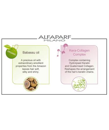 Alfaparf Express Recovery Kit - 180 ml | Nourishing Hair Treatment - Fast Shipping Worldwide - Buy Online on GoSupps.com