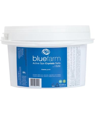 BLUE FARM | Active Spa Crystals Salts 3.800 gr: Large crystals of salts from the Dead Sea in a bucket - Buy Online on GoSupps.com