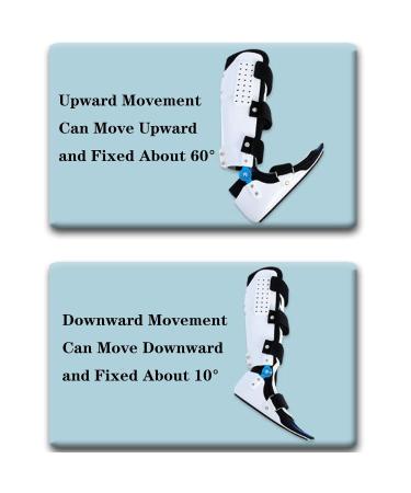 Ankle Support Brace | Breathable Orthosis for Injuries | Best Drop Foot Brace for Sprains & Breaks - Buy Online on GoSupps.com