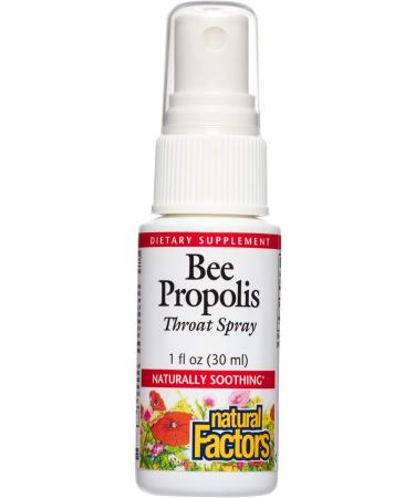 Natural Factors Bee Propolis Throat Spray Helps Soothe a Sore Throat and Support Energy Levels 1 Oz