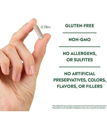 Stem & Root Simply 7 Multivitamin for Adults | Top 7 Deficiencies Addressed | 7 Essential Vitamins & Minerals | Vitamin C, D, Magnesium | 60 Capsules - Buy Online on GoSupps.com