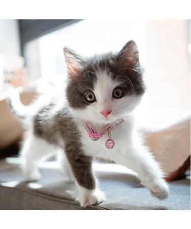 Buy DORUI Cat Bells - 4 Loud Copper Collar Bells for Cats & Dogs in Pink | International Shipping Available - Buy Online on GoSupps.com