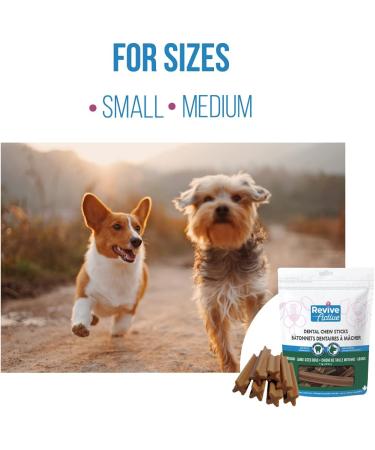 Revive Active Dental Chews Sticks For Dogs 18ct Help to Remove Plaque and Tarter Build-Up - Improves Oral Health and Maintaining healthy Gums and Teeth. Dental Sticks - Buy Online on GoSupps.com