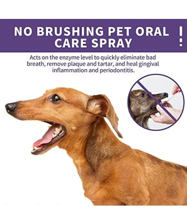 CHENGDAN Dog and Cat Tooth Cleaning Spray No Brushing Enhancement Cleaning Formula Pet Tooth Cleaning Spray Target Fresh Breath and Tartar Control (3pcs) - Buy Online on GoSupps.com