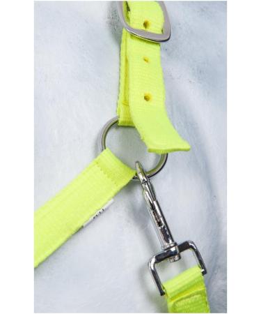 RL24 Nylon Halter BASICLINE - Neon Green for Thoroughbreds | International Shipping Available - Buy Online on GoSupps.com
