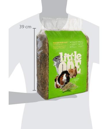 Little One Mountain Meadow Hay - Premium 1 kg Pack for Pets | International Shipping Available - Buy Online on GoSupps.com