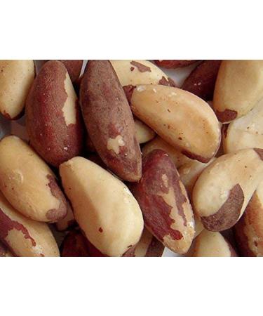 Freshly Roasted & Unsalted Brazil Nuts (2 Lbs.) - Super Crunchy & Delicious - Farm Fresh Nuts Brand - Buy Online on GoSupps.com
