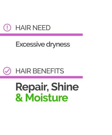 NOVEX Super Aloe Vera Hair Mask - Organic Aloe Vera for Frizz & Volume Control | 35.3 Oz - International Shipping Available - Buy Online on GoSupps.com