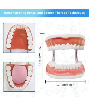 Jujne Enlarged 6X Tooth Mouth Model with Metal Hinge - Complete Set Removable Tongue Durable PVC Language Tool for Easy Use - Buy Online on GoSupps.com
