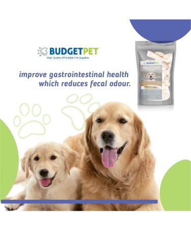 Budget Pet Enzymatic Dental Wafers for Small Breeds - Prevents Plaque and Tartar - Antiseptic Reduces Bacteria - Made from Select Beefhide - Improves Hygiene Oral of Your Dog. - Buy Online on GoSupps.com