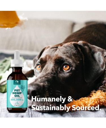 PetPal Organic Pet Hemp Oil for Dogs & Cats - 200 000 Canadian Grown Natural Calming Aid Stress and Separation Anxiety Rich in Omega 3 6 9 Antioxidants Mobility Support Arthritis Hip & and Joint Care. (2oz (60ml)) 60.0 ml (Pack of 1) - Buy Online on GoSupps.com
