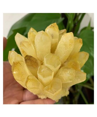 Natural Crystal Rough Crystal Cluster Natural Citrine Phantom Quartz Crystal Cluster Specimen (Size : 750-800g)