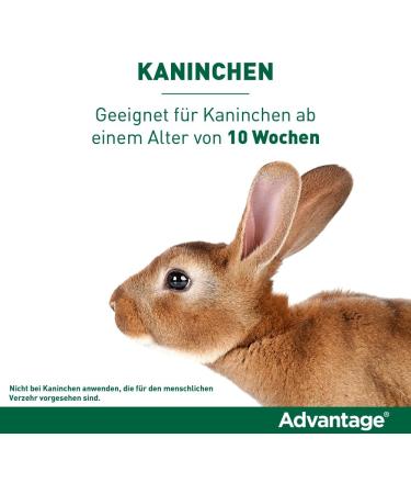 Elanco Advantage Spot-On 80 for Large Cats & Rabbits | Flea Protection for 4-8 kg | 4 Pipettes - Effective & Easy Application - Buy Online on GoSupps.com
