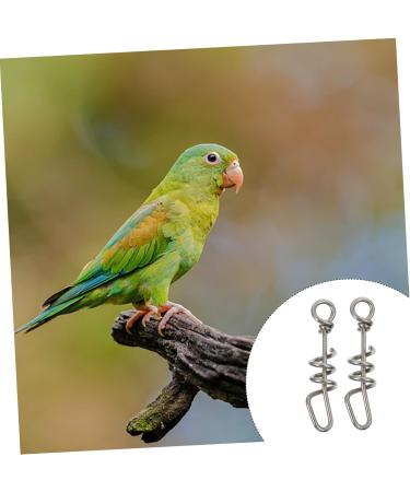 Kisangel 2pcs Parrot Anklet Birds Foot Chain Chicken Foot Ring Birdemic Bird Foot Stand Chain Stainless Steel 4X1X1cm Silver - Buy Online on GoSupps.com