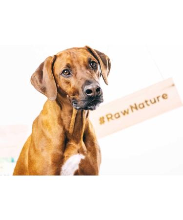 Buy RAW NATURE DISCH COMPARITION PUR 7-Piece 100% Natural Dog Snack - Hypoallergenic Grain-Free Air-Dried Ostrich Meat - Premium Quality 170g Pack - Buy Online on GoSupps.com