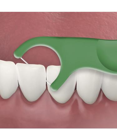 Gum Dual Technique Flosser Picks Complete Whole Mouth Clean Front and Back Reach with Twisted Plaque-Grabbing Floss Fresh Mint Flavour Forest Green 4 Bags X 50ct (200 Flossers) Dual Technique 50 Count (Pack of 4) - Buy Online on GoSupps.com