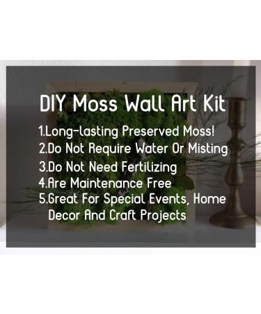 Prefleur Preserved Pole Moss Pillow Bun - DIY Kit for Natural Green Decor, Terrariums, and Wedding Decor (1.5 sq.ft. Green-B) - Buy Online on GoSupps.com