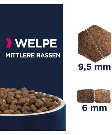 Eukanuba Puppy Food with Fresh Chicken Premium Dry Food for Medium Breeds | 15 kg - Ideal for Junior Dogs - Buy Online on GoSupps.com
