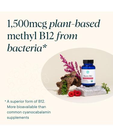 Ora Organic Vitamin B12 1500mcg - Plant-Based Methylcobalamin Energy Tablets - Raspberry Flavor - 30 Chewable Tablets - Buy Online on GoSupps.com